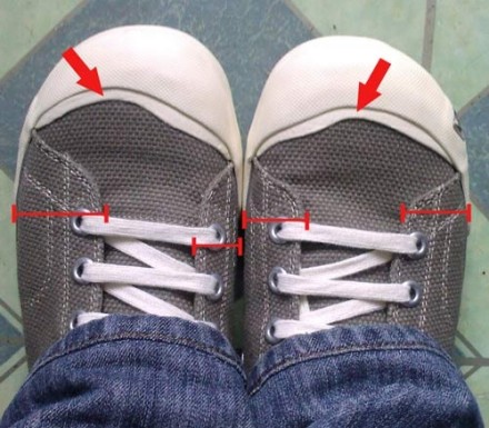 proportions of shoe sucks