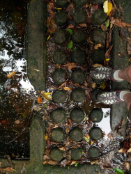 Standing on a row of lingas on the Kbal Spean...