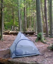 Shenandoah