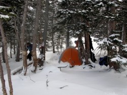 Camp Site Longs 2009