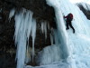 On Guinness Gully