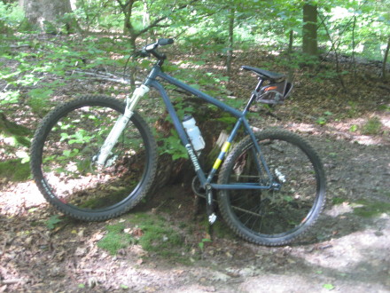 After the ride