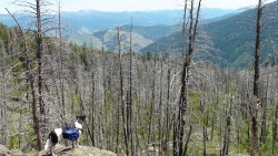 Argo in Hells Canyon