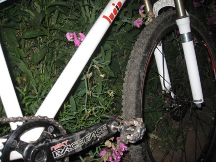 XTR pedals...