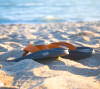 Chacos on the Beach