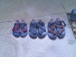 Its a family affair...
