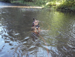 Ramapo River