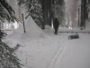 The snow load that bent the pole