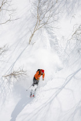 skiing in Niseko, Japan