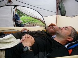 taking a nap