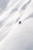 Zealots shredding Japanese pow