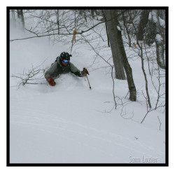 Trees at Stowe