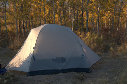 Teton View