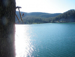 Cliff Lake Rope Swing w/ my Wavefarer Short