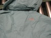 Back- Logo