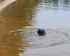 Water test