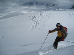 Mount Baker area!