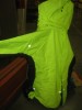 Picture of the back