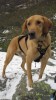Hiking in the Web Master Harness!