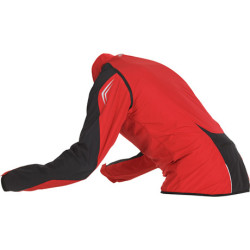 back view in red