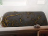 Dirty Rope?