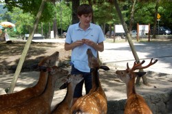 Arcteryx shorts surviving a deer attack in Nara, Japan