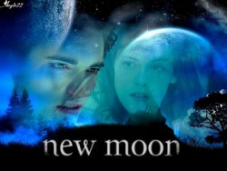 New Moon board