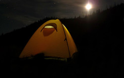Waiting for Firstlight