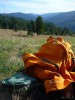 Softshell in Redwood National Park