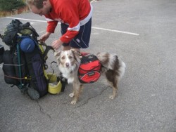 ....wish he could take my pack too......