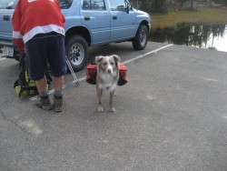 .....READY TO ROLL SON!!!