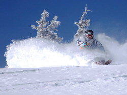 Backcountry.com love on the Bern Watts