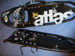 atlas 8 30"