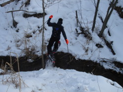 Wisconsin woodland adventure