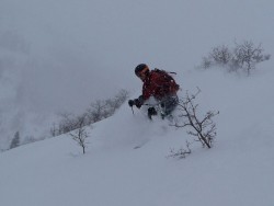 Touring and Powder Tested/Approved