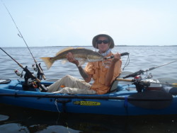 Todays Catch in the Manta Ray Angler