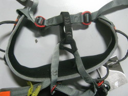 Dual Buckles
