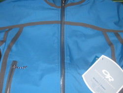 Photo of the Blue Jay color