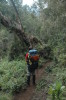 Kilimanjaro