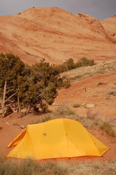 Pine Island in Moab, UT