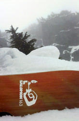 The SS chilling in 9" of wet fresh