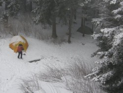 Stretch Dome