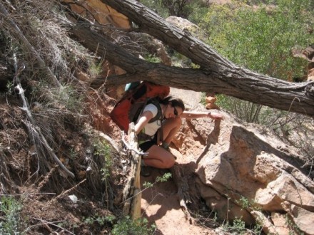 stuck under a tree