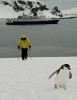 Jalapeno Glove in Antarctica