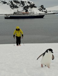 Jalapeno Glove in Antarctica
