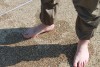 POOL TEST