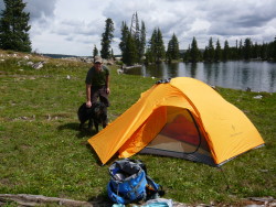 Great tent