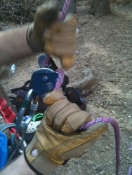gloves and grigri