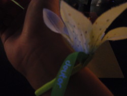 ..and you get a cool hair tie!