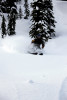 Shredding the Silkirks